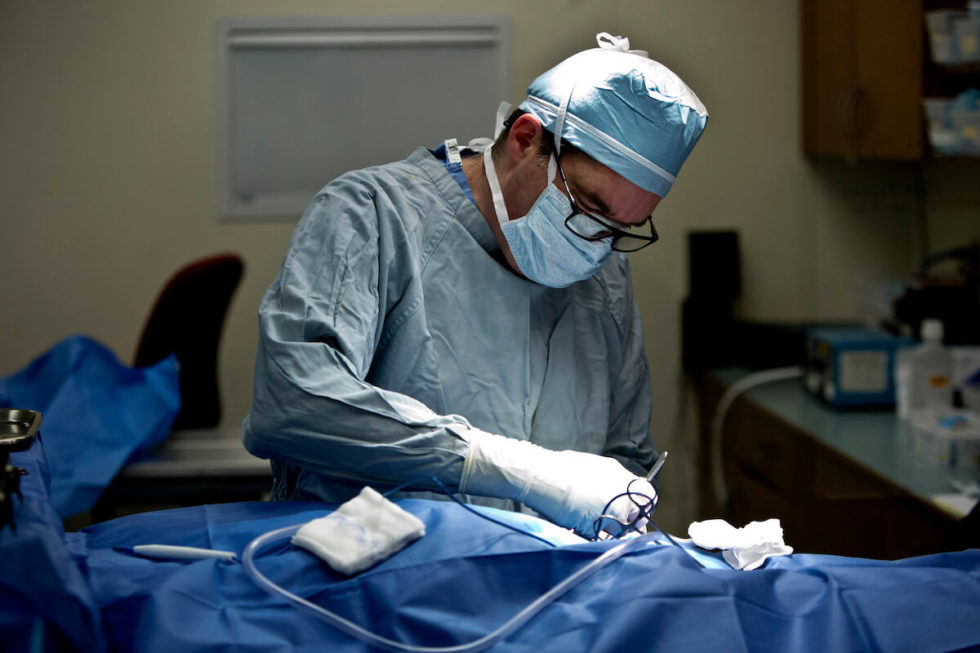 Best Emergency Vet In MA Cape Cod Veterinary Specialists