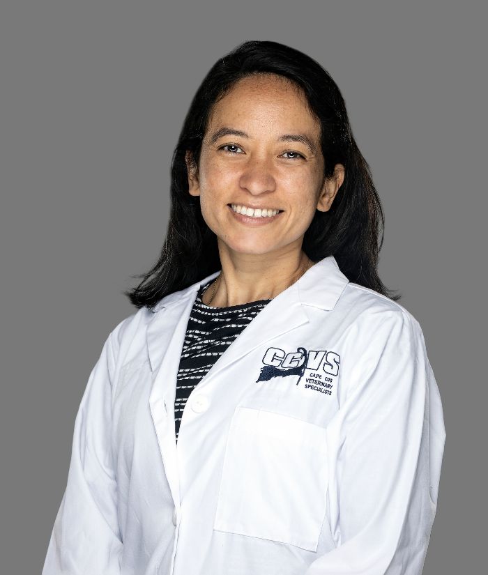 Dr. Lauren Carvalho